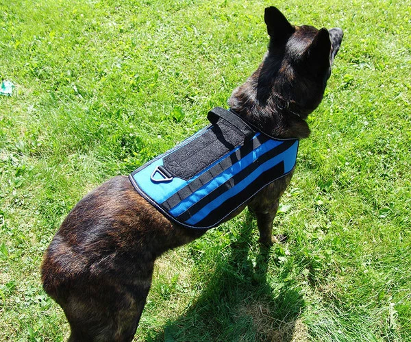 Carry-All MOLLE Pack Vest - Image 5