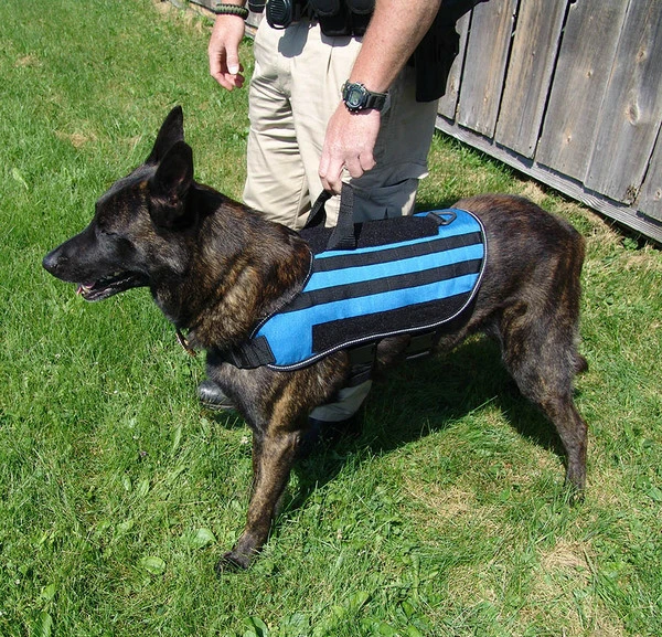 Carry-All MOLLE Pack Vest - Image 7