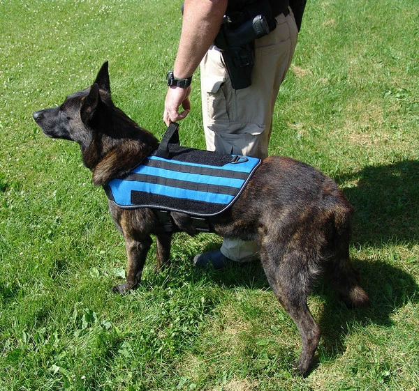 Carry-All MOLLE Pack Vest - Image 9