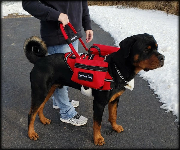 Ultimate Working Dog Vest W/ Clip-On Accessory Bags - Image 2