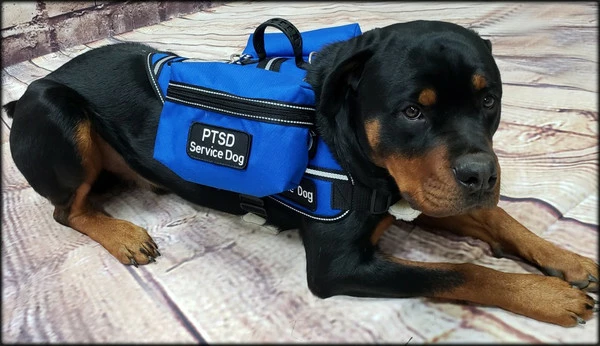 Ultimate Working Dog Vest W/ Clip-On Accessory Bags - Image 4