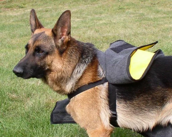 Fleece Lined Raincoat - Image 6