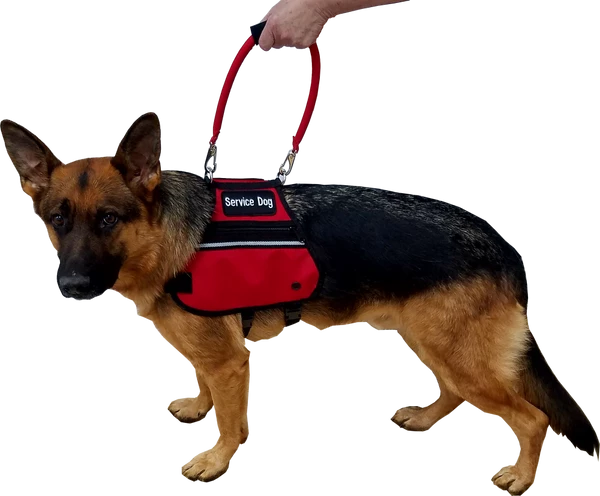 Padded Cordura Clip-on Bridge Handle -All Colors W/ Service Dog ID Band - Image 12