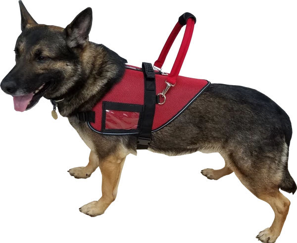 Padded Cordura Clip-on Bridge Handle -All Colors W/ Service Dog ID Band - Image 14