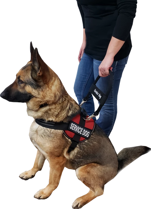 12" Nylon Clip-on Bridge Handle W/Service Dog ID Band - Image 8