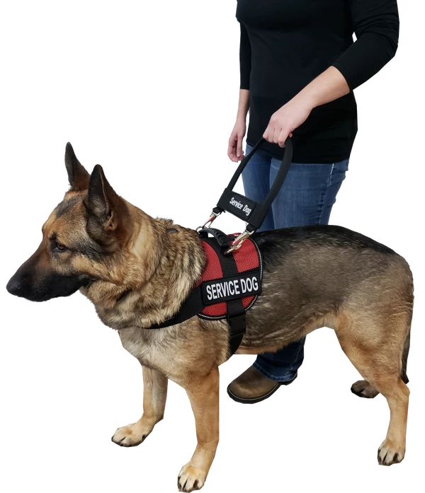 12" Nylon Clip-on Bridge Handle W/Service Dog ID Band - Image 3