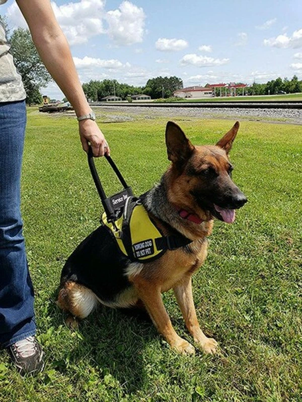 Padded Harness Service Dog Vest - Image 13