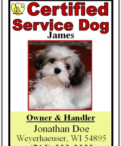 Metal Identification Badge