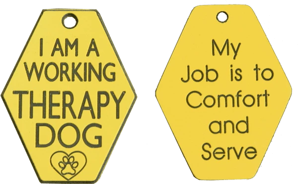 Deluxe Therapy Dog Vest Starter Kit - Image 4