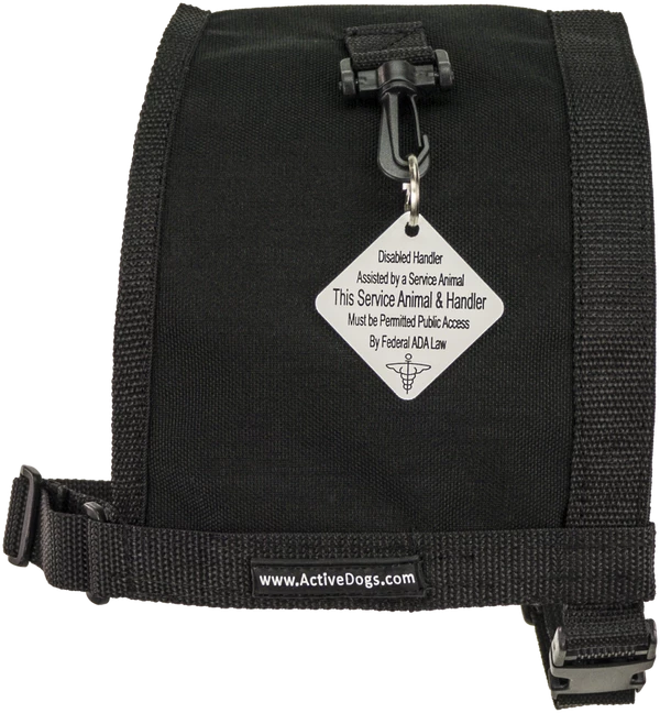 Disabled Handler With Service Dog Tag - Image 10