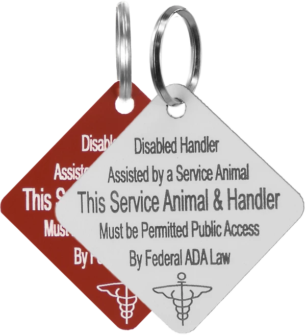 Disabled Handler With Service Dog Tag - Image 11