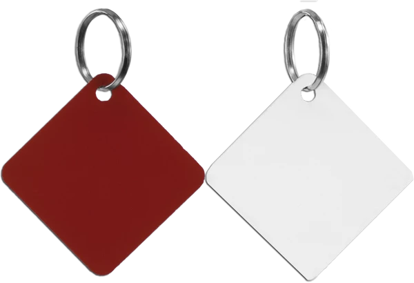 Disabled Handler With Service Dog Tag - Image 2