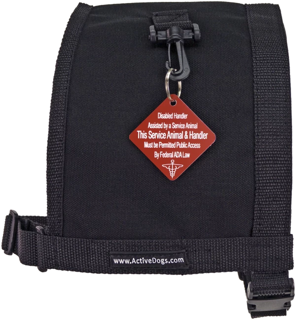 Disabled Handler With Service Dog Tag - Image 9