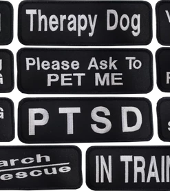 Embroidered Patch 2x6