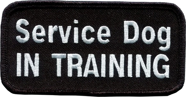 Embroidered Patch 2x4 - Image 11