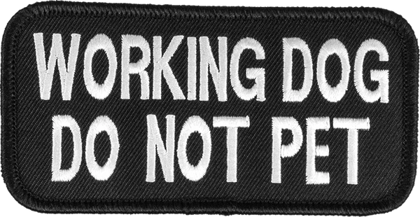 Embroidered Patch 2x4 - Image 3