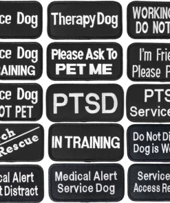 Embroidered Patch 2x4