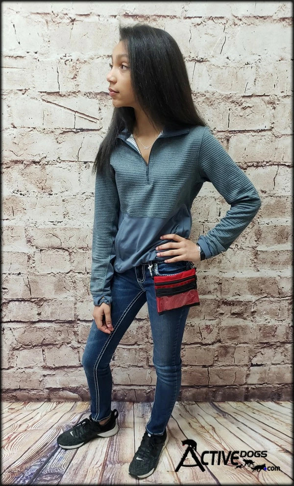 Clip-On Service Dog ID Pocket Bag - Image 4