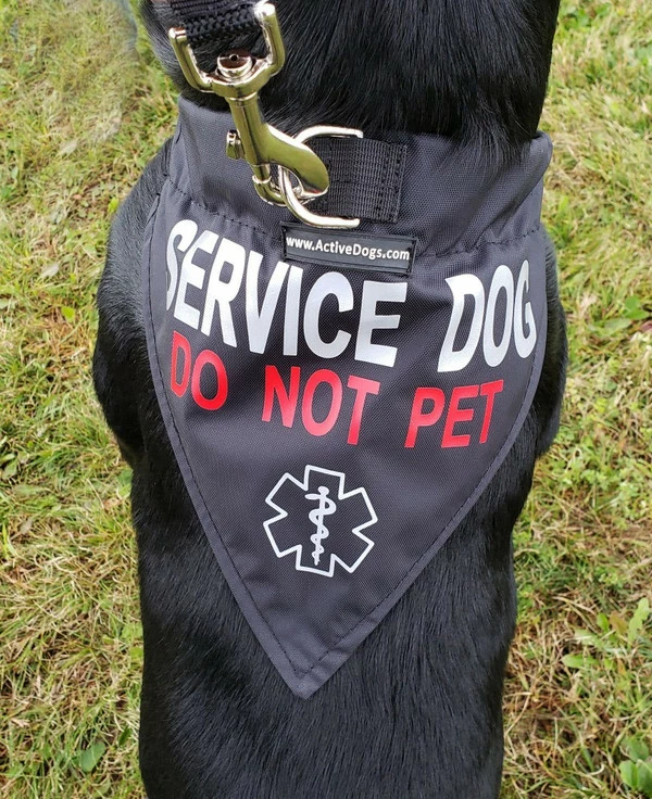 Service Dog Reflective Bandana Dog Collar - Image 6