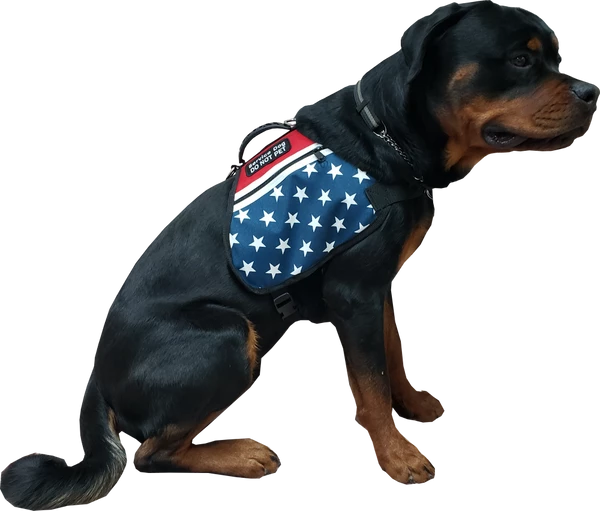 American Patriotic Service Dog Dual Pocket Vest - Image 2