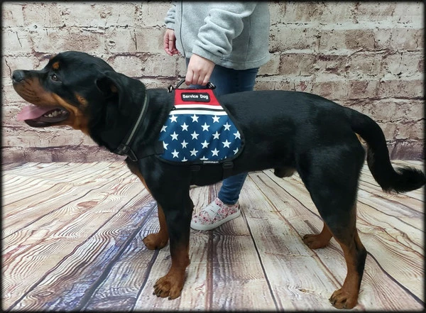 American Patriotic Service Dog Dual Pocket Vest - Image 11