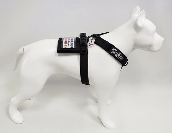 Front Range No Pull Dog Harness - Image 10