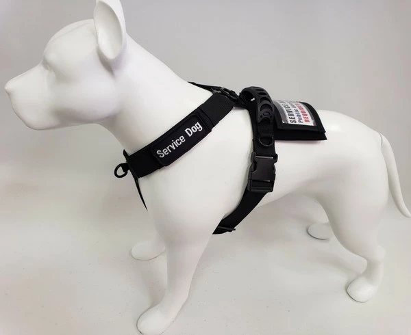 Front Range No Pull Dog Harness - Image 15