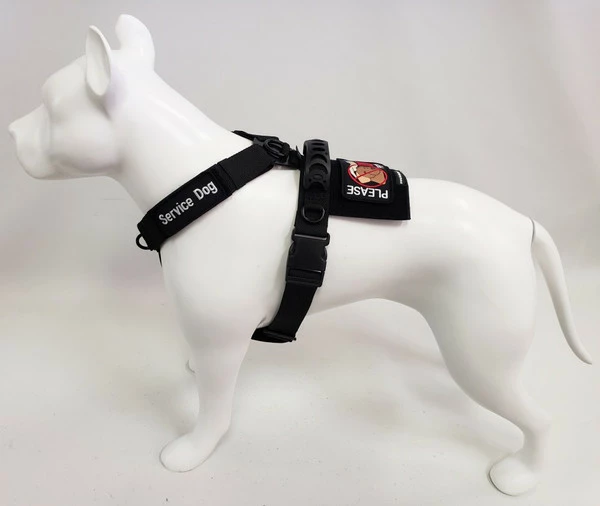 Front Range No Pull Dog Harness - Image 16