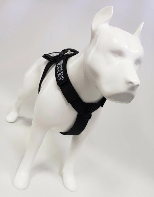 Front Range No Pull Dog Harness - Image 4