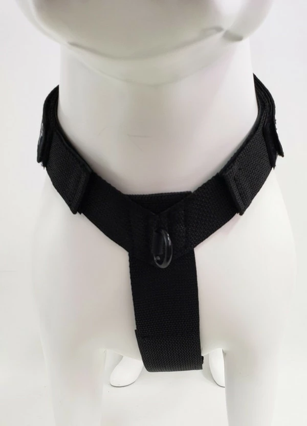 Front Range No Pull Dog Harness - Image 6