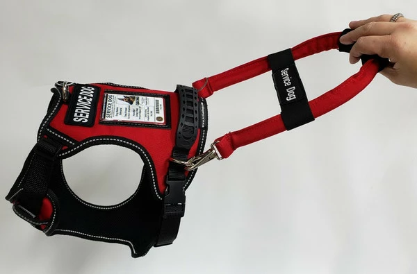 No Pull Service Dog Harness - Front-Range - Image 5