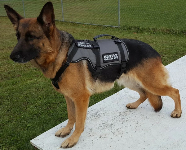 Service Dog Saddle Bag Grocery Getter Harness Vest - Image 3