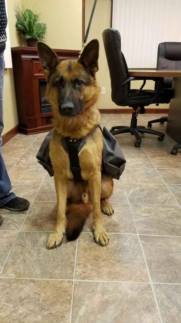 Service Dog Saddle Bag Grocery Getter Harness Vest - Image 21