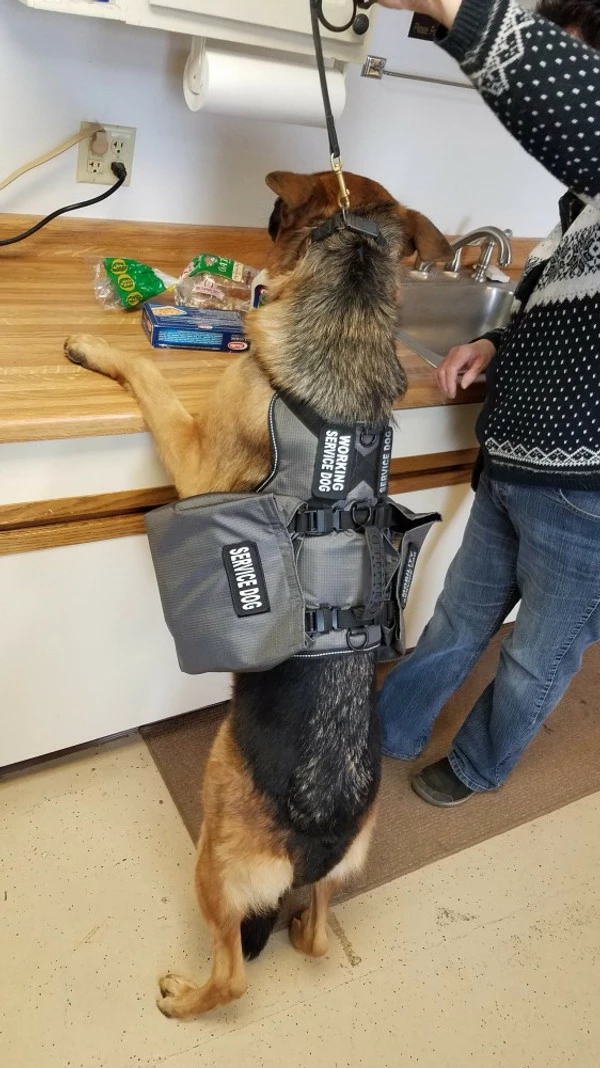 Service Dog Saddle Bag Grocery Getter Harness Vest - Image 9