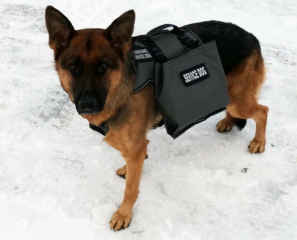 Service Dog Saddle Bag Grocery Getter Harness Vest - Image 7