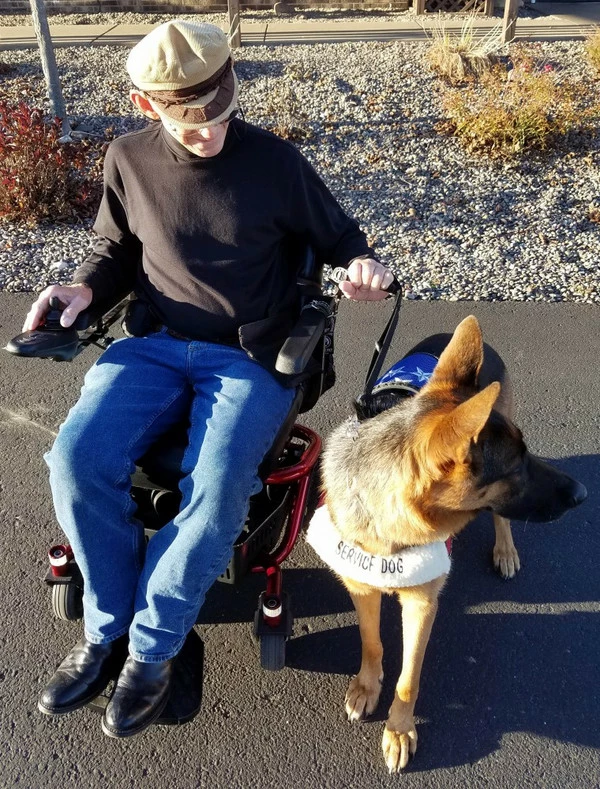 Wheelchair Pulling Dog Leash With Handle - Image 2