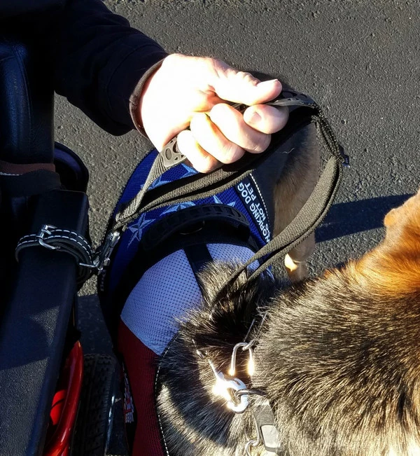 Wheelchair Pulling Dog Leash With Handle - Image 6