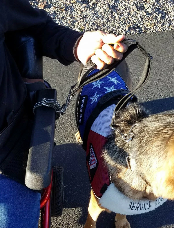 Wheelchair Pulling Dog Leash With Handle - Image 7