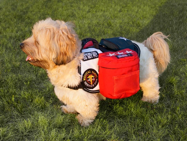 Patriotic Tri Pack Service Dog Vest - Image 6