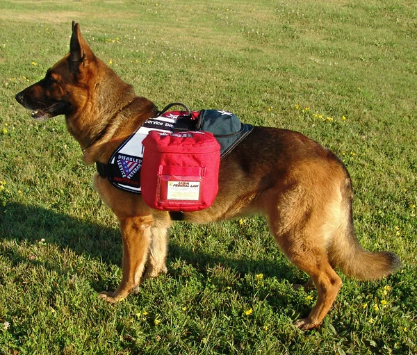 Patriotic Tri Pack Service Dog Vest - Image 2