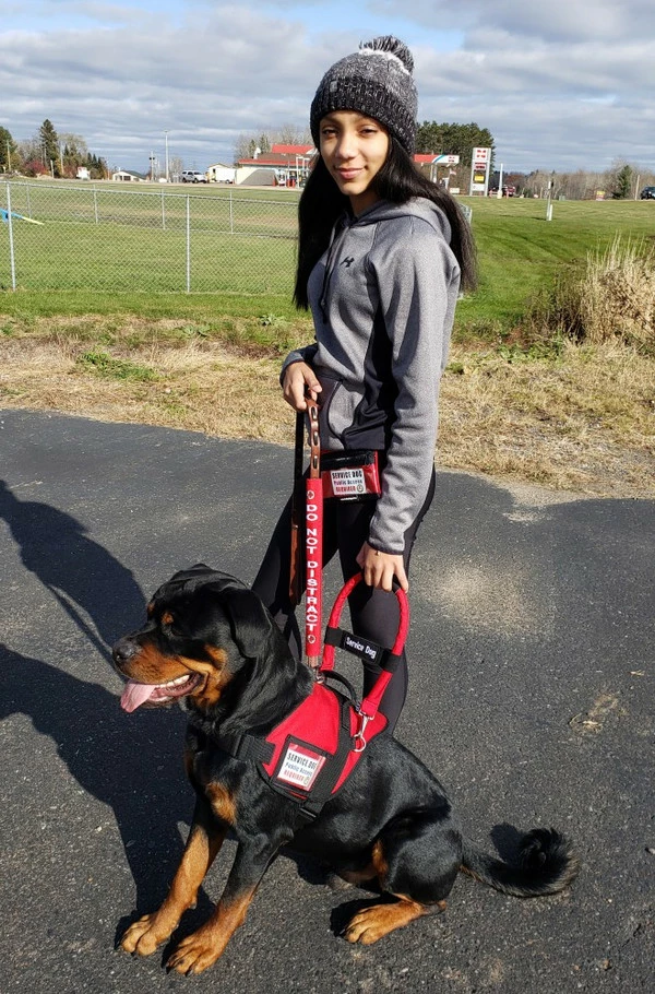 Padded Harness Vest With Window - Image 6
