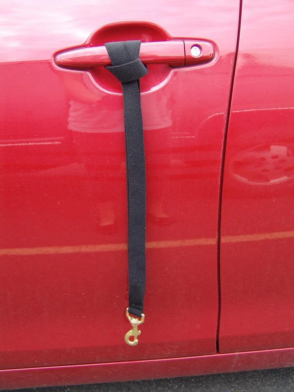 Wheelchair Pulling Leash - Image 7