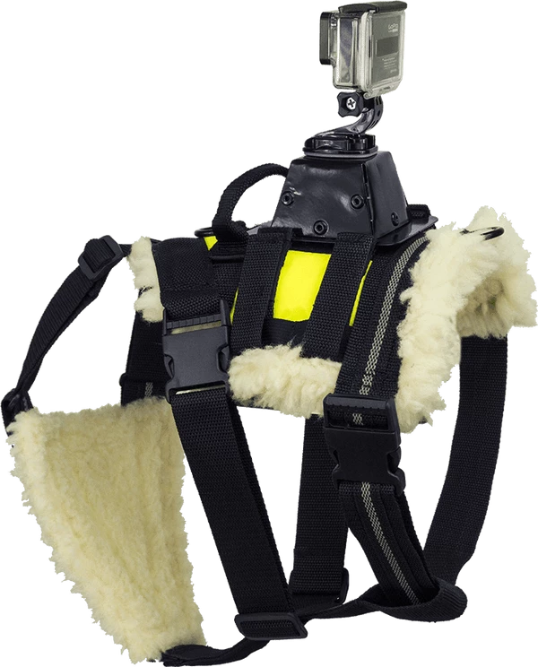 Search & Rescue Hi-Vis Tracking Harness - Image 4