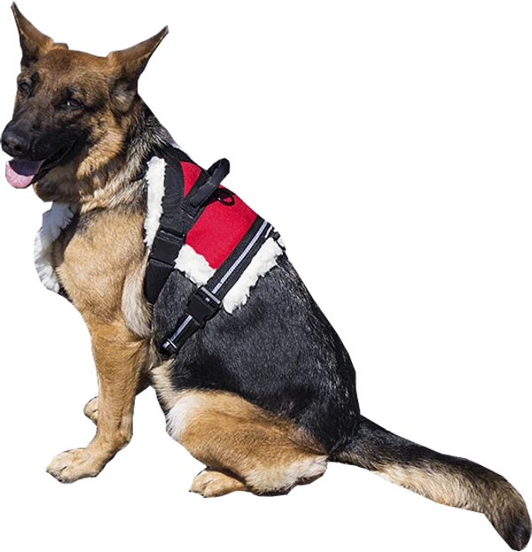 Wheelchair Pulling Harness - Image 2