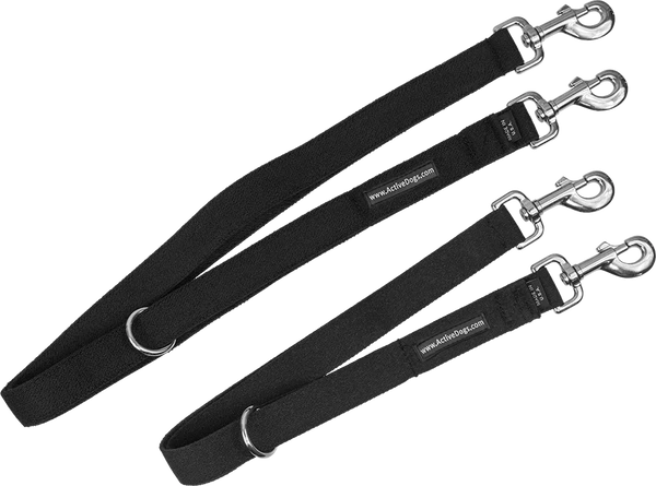 Bungee Pulling Lead Double Snaps