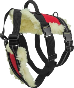 Wheelchair Pulling Harness