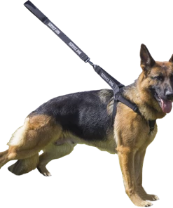 Personalized Step-in Service Dog Harness & Leash