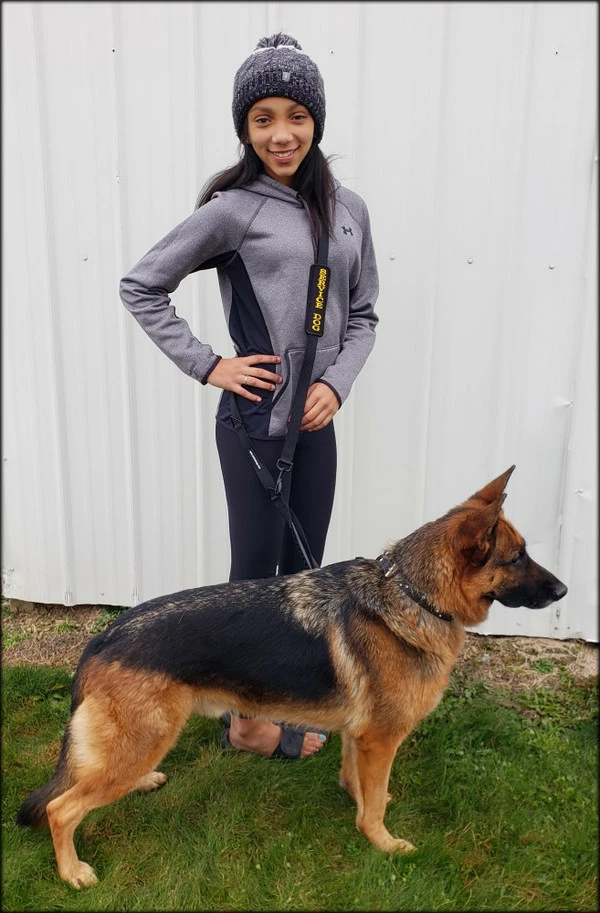 Service Dog Hands Free Leash - W/ Molded Handle - Image 4