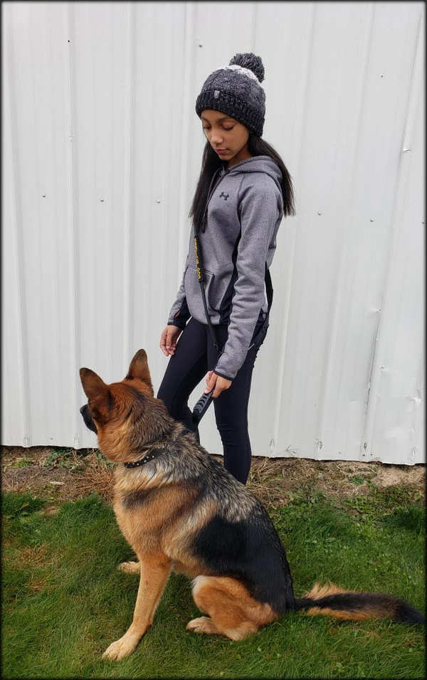 Service Dog Hands Free Leash - W/ Molded Handle - Image 9