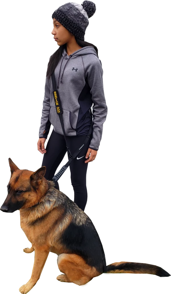 Service Dog Hands Free Leash - W/ Molded Handle - Image 2